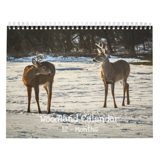 Calendrier Woodland Creatures Nature  (Protection)