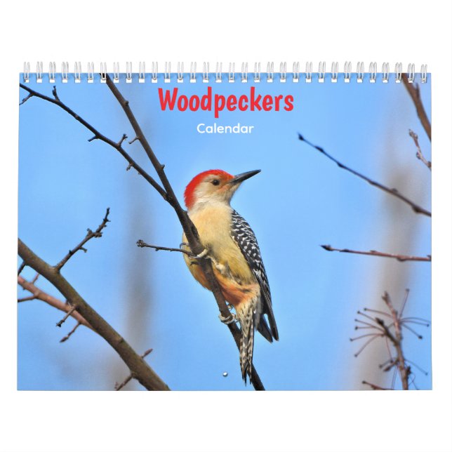 Calendrier Woodpeckers Calendar (Protection)