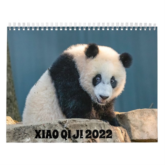 Calendrier Xiao Qi Ji 2022 (Protection)