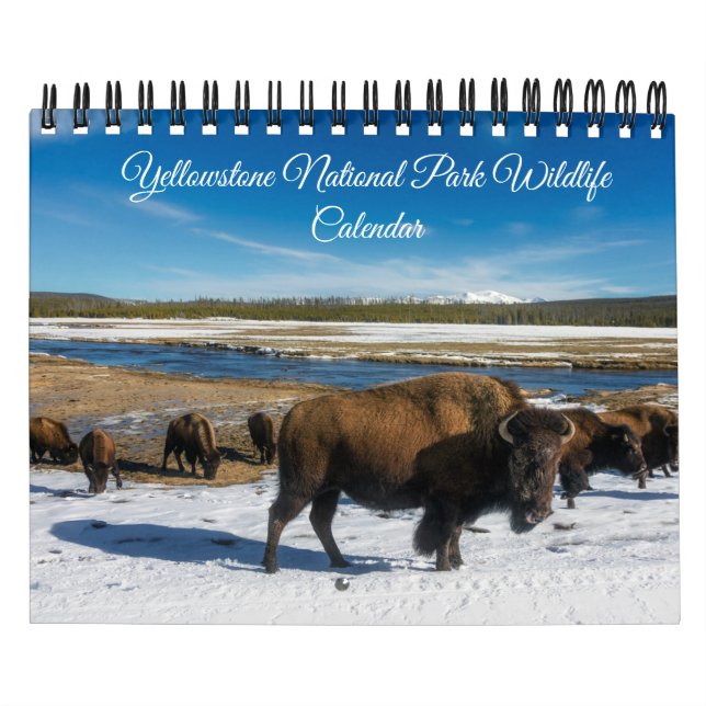 Calendrier Yellowstone Calendar-Wildlife Calendar (Protection)