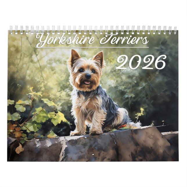 Calendrier Yorkshire Terriers 2026 (Protection)