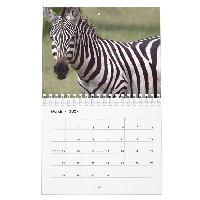 Calendrier Zèbre (Mar 2027)