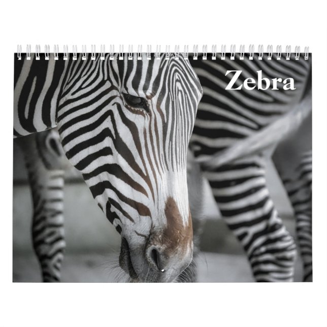 Calendrier Zèbre 2025 (Protection)