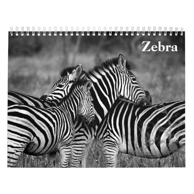 Calendrier zèbre 2027 (Protection)