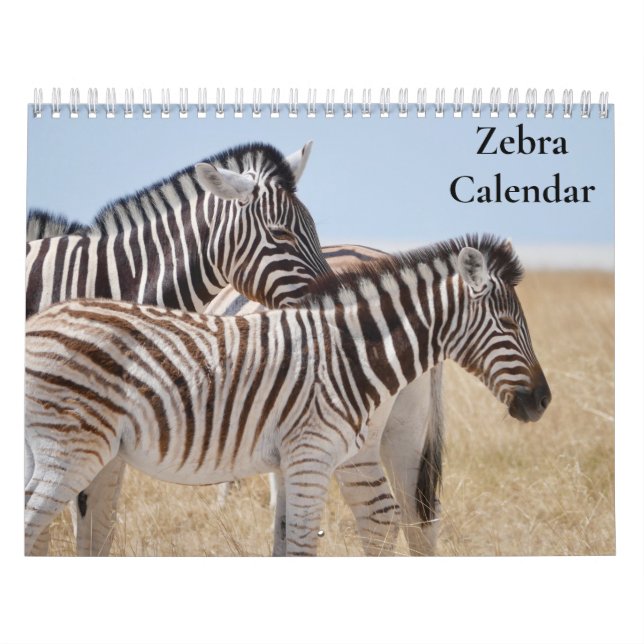 Calendrier Zèbre 2027 (Protection)