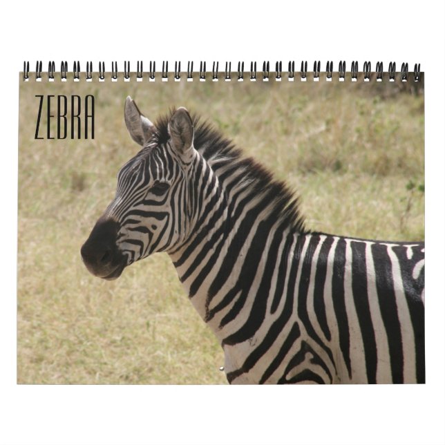 Calendrier zèbre 2027 (Protection)