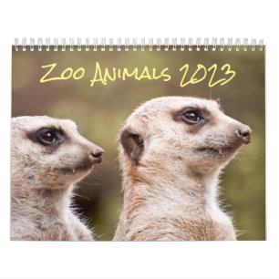 Calendrier Zoo Animaux Photographie 2023