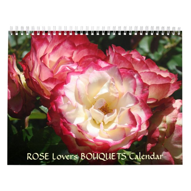 Calendriers Cadeaux de Bureau Amis Patron Amoureux (Protection)