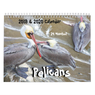 calendriers de 2019 2020 de pélican d'oiseau