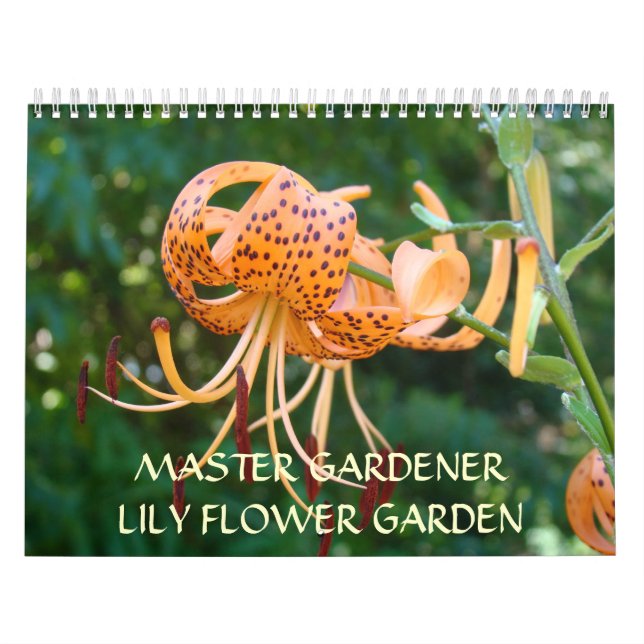 CALENDRIERS DE FLEURS LILY Cadeaux de maître (Protection)