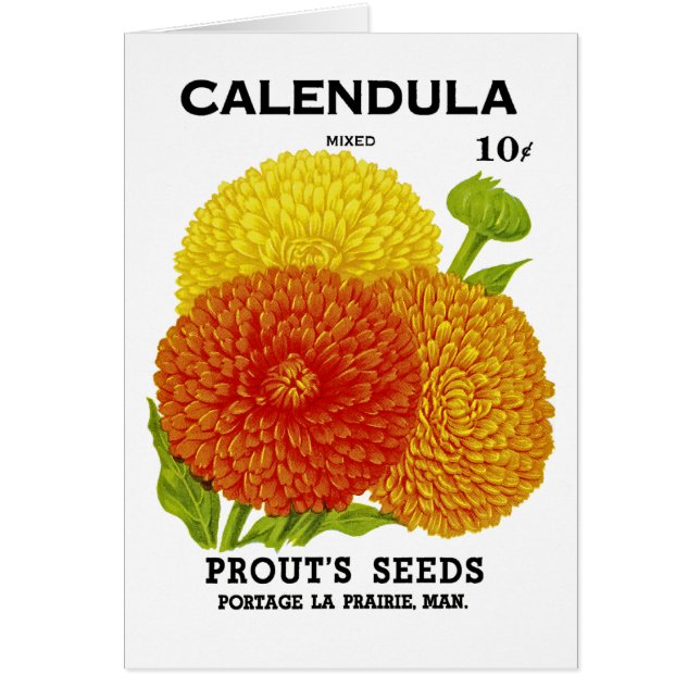 Calendula Vintage Seed Packet (Devant)