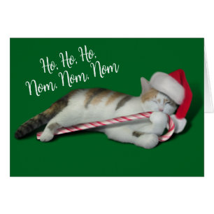 Cali, le Sucre de canne de Noël Kitty