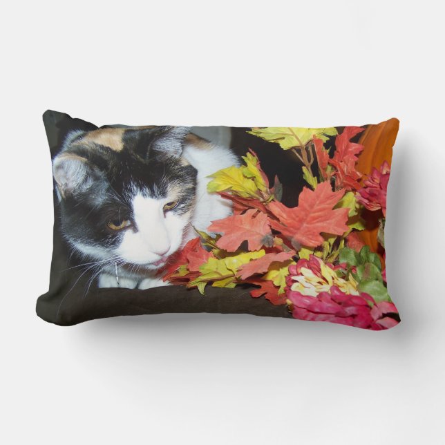 Calico Cat Coussin de décoration d'automne (Recto)