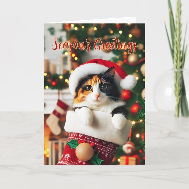 Calico Cat dans une carte de stockage de Noël (Devant)