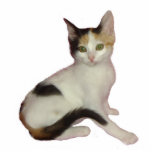 Calico Chat Photo Sculpture<br><div class="desc">Cette sculpture photo d'un chaton calico fait un grand cadeau pour les amoureux de les chats</div>