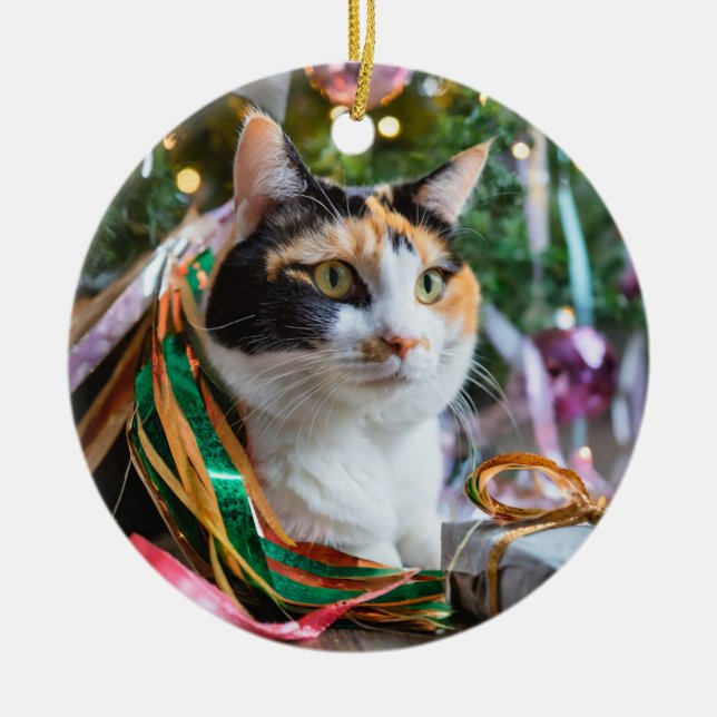 Calico Chat sous un ornement d'arbre de Noël (Devant)
