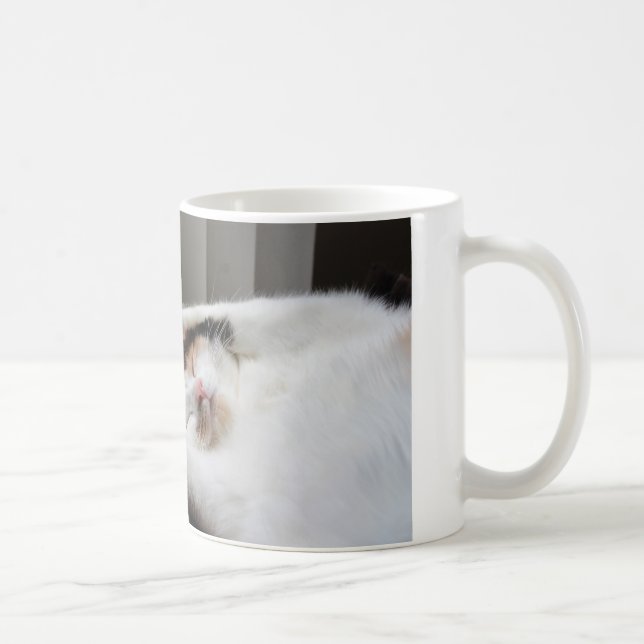 Calico dort dans la tasse au soleil (Droite)