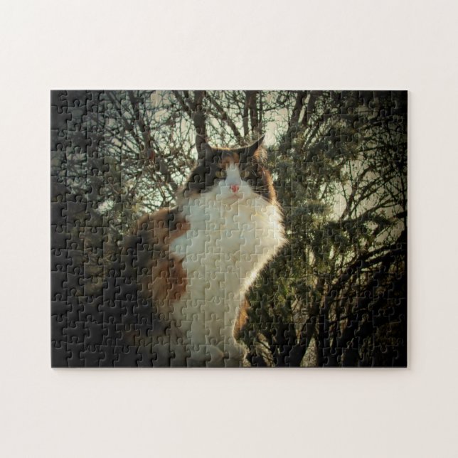 Calico et pine ou votre puzzle photo (Horizontal)