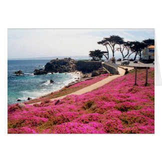 Calif Pacific Grove-Monterey