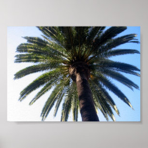 California Beach Palm Tree Poster personnalisé Art