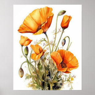California Poppy Flowers Art Print Poster