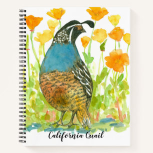 California Quail Bird Poppies Journal aquarelle