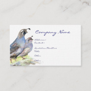 California Quail Carte de visite Bird Nature