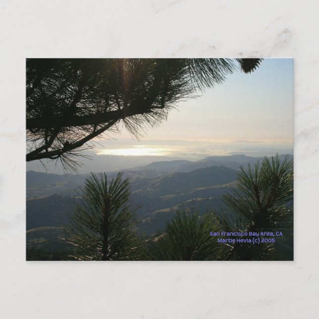 California Seasons - SF Bay Area - Carte postale (Devant)