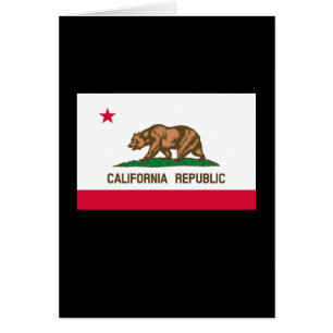 California State Flag Design