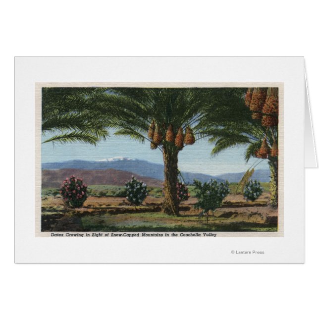 CaliforniaDates Growing in the Coachella (Devant horizontal)