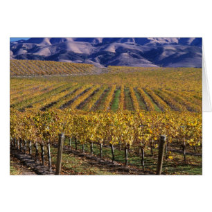 Californie, comté de San Luis Obispo, vallée d'Edn