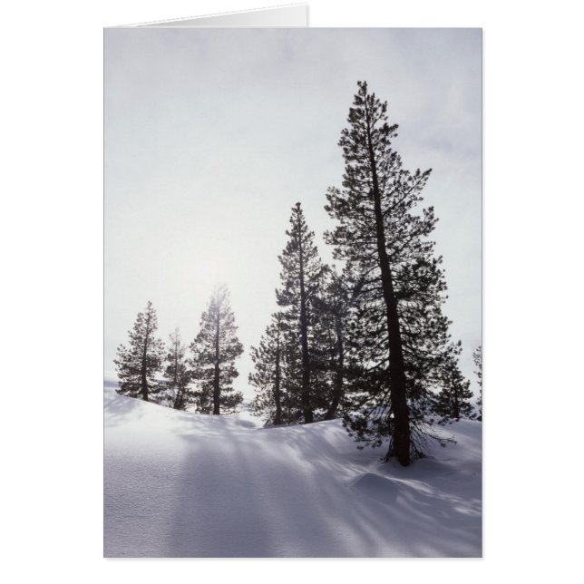 Californie, Rancho Cuyamaca State Park (Devant)