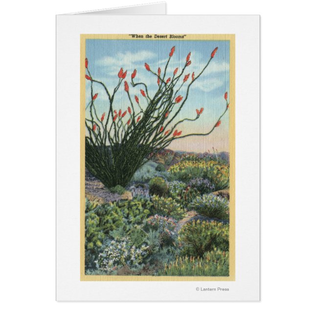 CalifornieVue sur les cactus en fleurs (Devant)