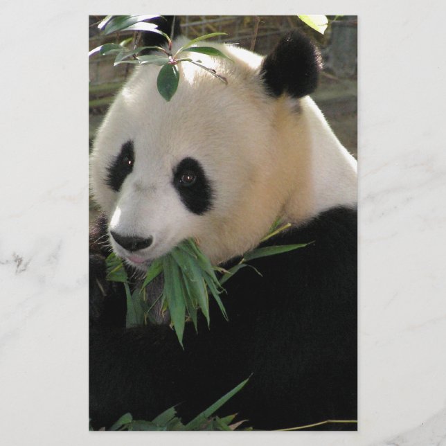 Câlins de Panda (Devant)