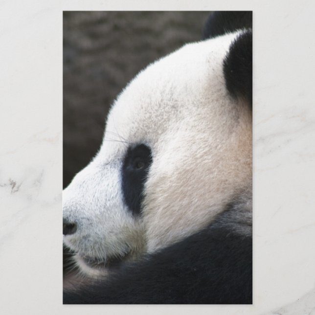 Câlins de Panda (Devant)