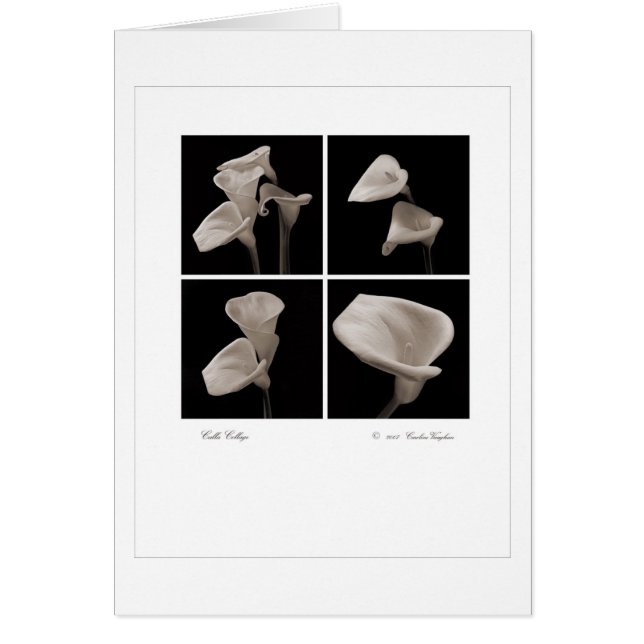 Calla_flowers_2010_Brochure (Devant)