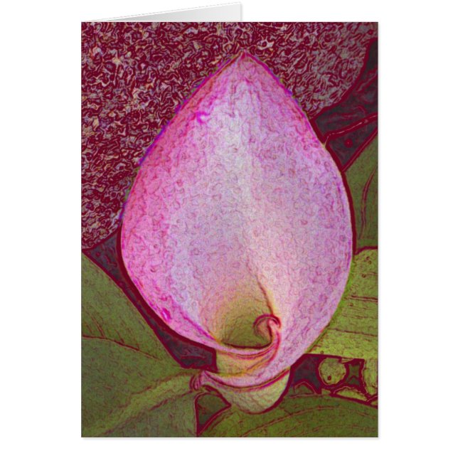 Calla Lilly (Devant)