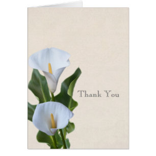 Calla Lily Fleurs Floral Élégant Mariage nuptial