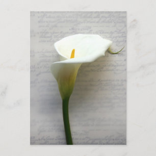 calla lily sur l'ancienne invitation à l'écriture