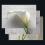 Calla Lys Enveloppement Papier Ensemble de 3<br><div class="desc">Lys calle blanc élégant pour les plus belles douches nuptiales ou les paquets cadeaux mariages</div>