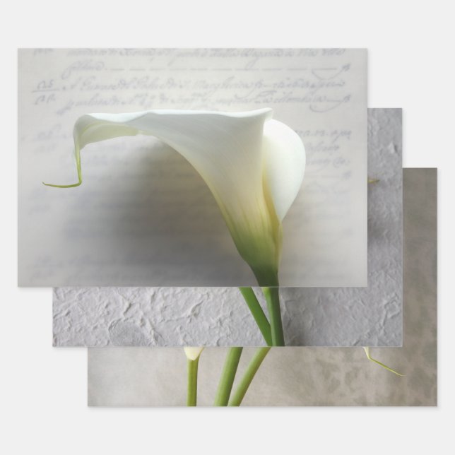 Calla Lys Enveloppement Papier Ensemble de 3 (Lot)