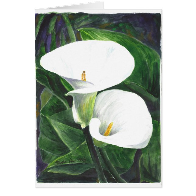 Calle Lilies (Devant)