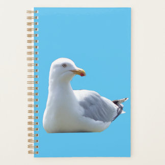 Calm Coastal Seagull Wildlife Nature Journal