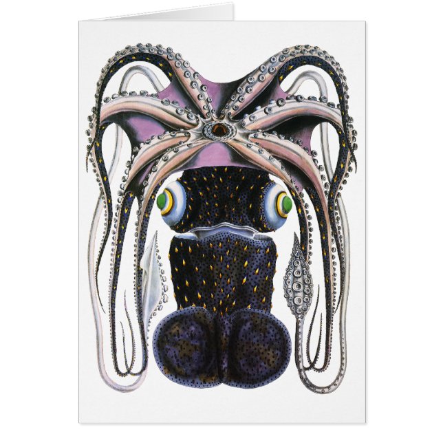 Calmar géant vintage ou poulpe, animal marin (Devant)