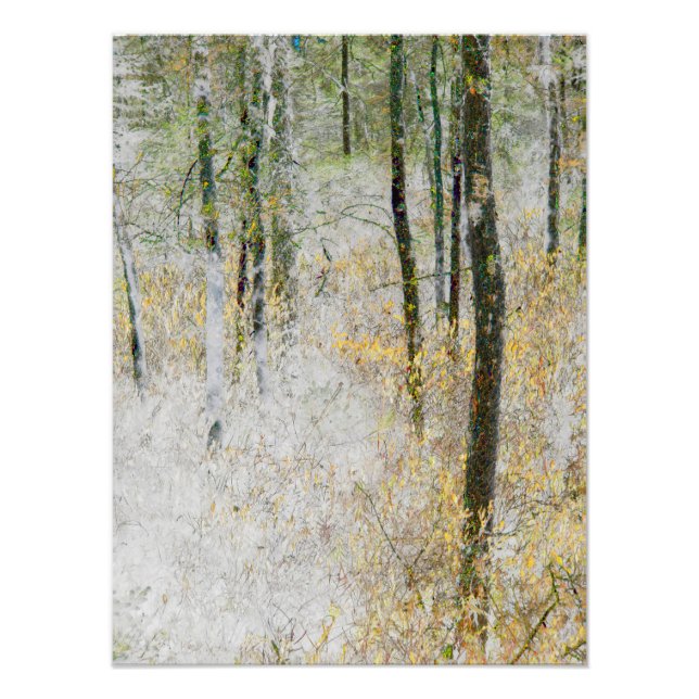 "Calme" - Photo transformée d'arbres dans une forê (Devant)