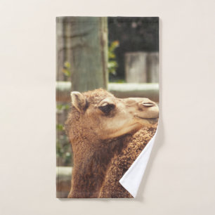 Camel