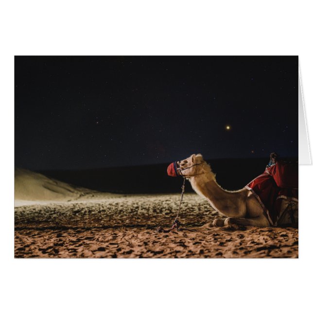 Camel Allongé Dans Le Ciel De Minuit (Devant horizontal)
