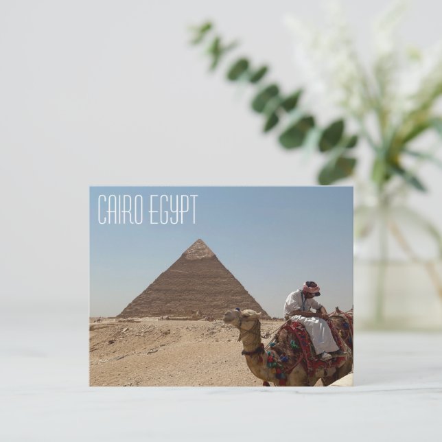 Camel Du Caire En Egypte Devant La Carte Postale P (Debout devant)