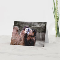 "Camel Kiss - L'amour est. ..." Carte