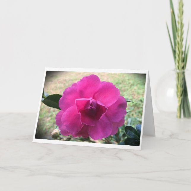 Camellia, carte (Devant)
